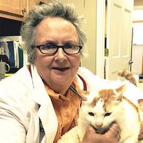 Dr. Michelle Brownstein